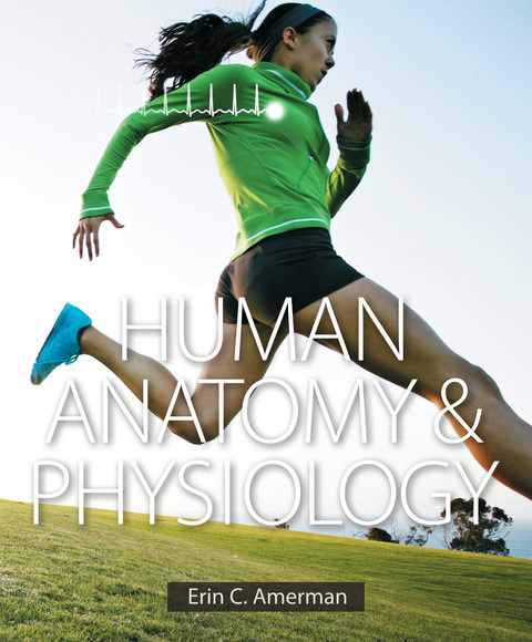 Book Human Anatomy & Physiology free