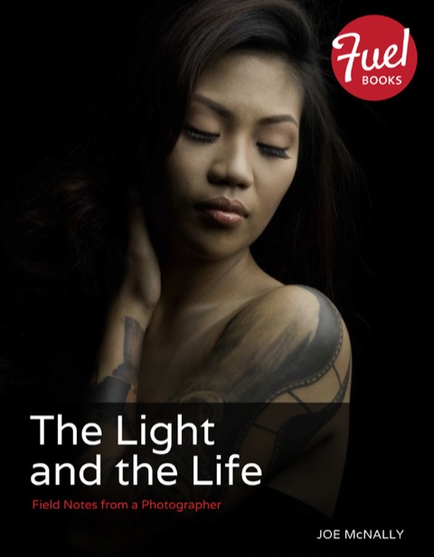 Book Light and the Life, The: Field Notes from a Photographer free