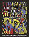 Book Juvenile Justice System, The: Delinquency, Processing, and the Law , Student Value Edition free