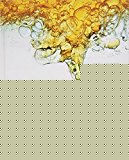 Book Basic Chemistry (5th Edition) free