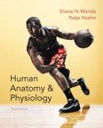Book Human Anatomy & Physiology, Books a la Carte Edition, Mastering A&P with Pearson eText -- ValuePack Access Card, Human Anatomy & Physiology Laboratory Manual, Fetal Pig Version (10th Edition) free