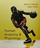 Book Human Anatomy & Physiology, Mastering A&P with Pearson eText -- ValuePack Access Card and Human Anatomy & Physiology Laboratory Manual, Fetal Pig Version (10th Edition) free