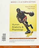 Book Human Anatomy & Physiology, Books a la Carte Edition; Modified Mastering A&P with Pearson eText -- ValuePack Access Card -- for Human Anatomy & ... Physiology, A (ValuePack only) (10th Edition) free