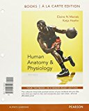 Book Human Anatomy & Physiology, Books a la Carte Edition; MasteringA&P with Pearson eText -- ValuePack Access Card -- for Human Anatomy & Physiology; ... A Complete Study Guide (10th Edition) free