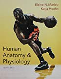 Book Human Anatomy & Physiology; MasteringA&P with Pearson eText -- ValuePack Access Card; InterActive Physiology 10-System Suite CD-ROM; Get Redy for A&P; Brief Atlas for the Human Body (10th Edition) free