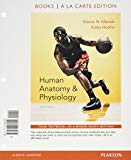 Book Human Anatomy & Physiology, Books a la Carte Edition, MasteringA&P with eText & Access Card, InterActive Physiology 10-System Suite CD-ROM, Practice ... Human Body, Get Ready for A&P (10th Edition) free