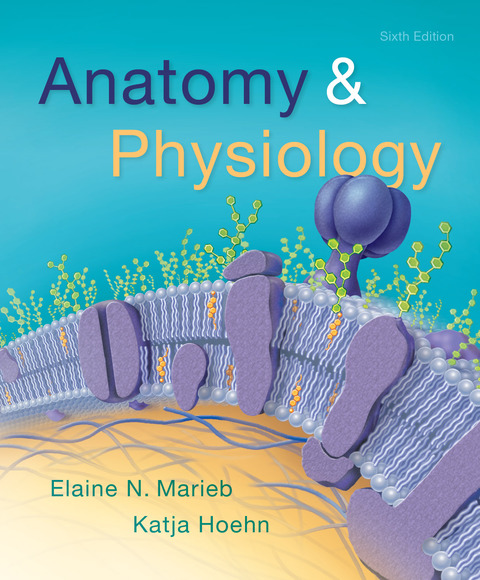 Book Anatomy & Physiology free