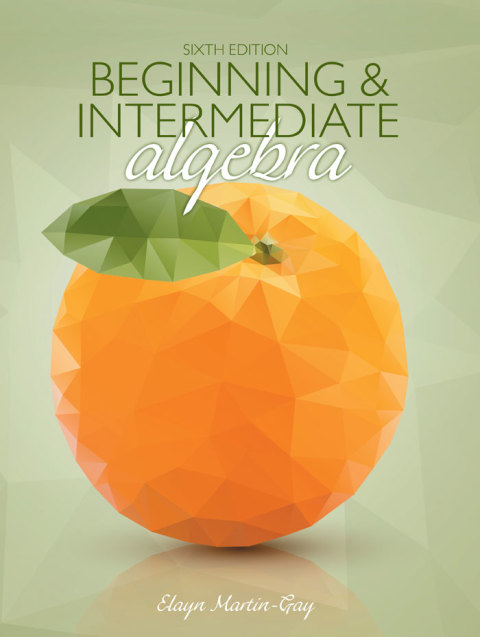 Book Beginning & Intermediate Algebra free