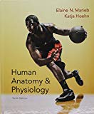 Book Human Anatomy & Physiology, Human A&P Lab Manual, MasteringA&P with Pearson eText -- ValuePack Access Card for Human Anatomy & Physiology and A&P Lab ... and Brief Atlas Human Body (10th Edition) free