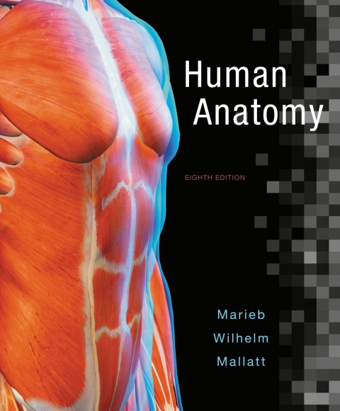 Book Human Anatomy free