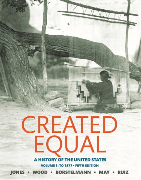 Book Created Equal: A History of the United States, Volume 1 free