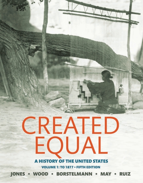 Book Created Equal: A History of the United States, Volume 1 free