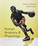 Book Human Anatomy & Physiology; Human Anatomy & Physiology Laboratory Manual; Modified Mastering A&P with Pearson eText -- ValuePack Access Card -- for Human Anatomy & Physiology (10th Edition) free