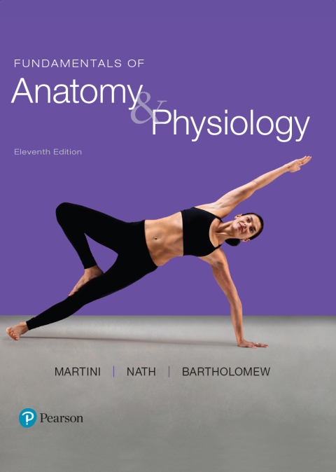 Book Fundamentals of Anatomy & Physiology free