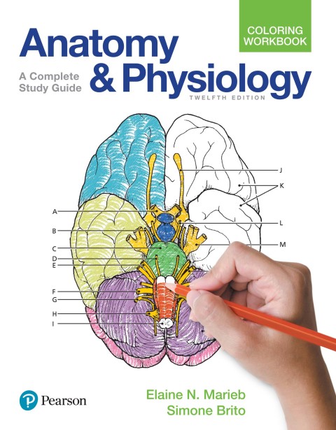 Book Anatomy and Physiology Coloring Workbook free