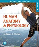 Book Human Anatomy & Physiology Laboratory Manual: Making Connections, Cat Version free