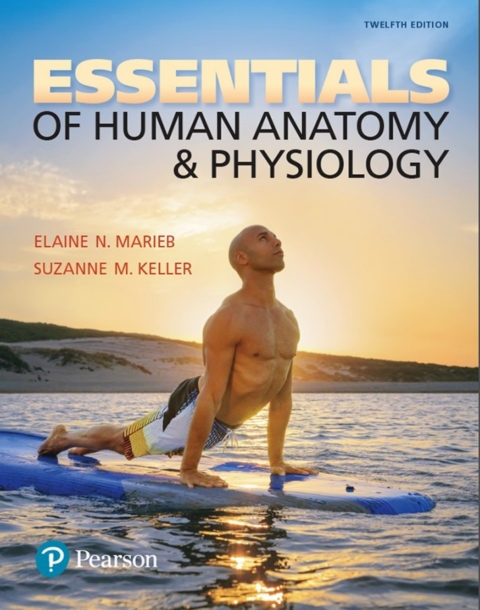 Book Essentials of Human Anatomy & Physiology free