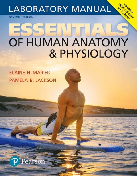 Book Essentials of Human Anatomy & Physiology Laboratory Manual free