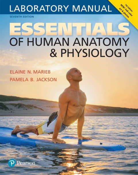Book Essentials of Human Anatomy & Physiology Laboratory Manual free