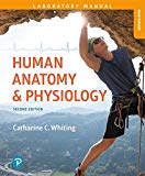 Book Human Anatomy & Physiology Laboratory Manual: Making Connections, Main Version (Masteringa&p) free