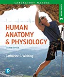 Book Human Anatomy & Physiology Laboratory Manual: Making Connections, Fetal Pig Version (Masteringa&p) free