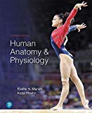 Book Human Anatomy & Physiology Plus Mastering A&P with Pearson eText -- Access Card Package (11th Edition) (What's New in Anatomy & Physiology) free