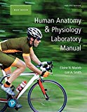 Book Human Anatomy & Physiology Laboratory Manual, Main Version Plus Mastering A&P with Pearson eText -- Access Card Package (12th Edition) (What's New in Anatomy & Physiology) free