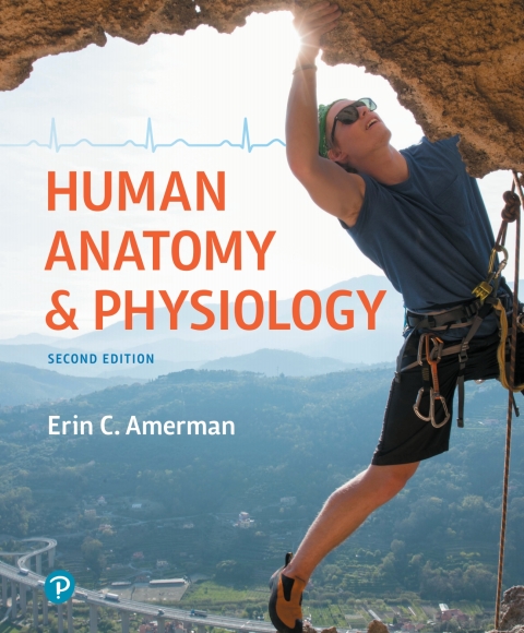 Book Human Anatomy & Physiology free