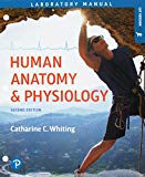 Book Human Anatomy & Physiology Laboratory Manual: Making Connections, Cat Version Plus Mastering A&P with Pearson eText -- Access Card Package (2nd Edition) (What's New in Anatomy & Physiology) free