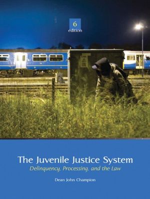 Book The Juvenile Justice System: Delinquency, Processing, and the Law free
