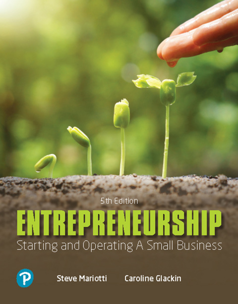 Book Entrepreneurship: Starting and Operating A Small Business free