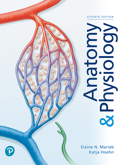Book Anatomy & Physiology free