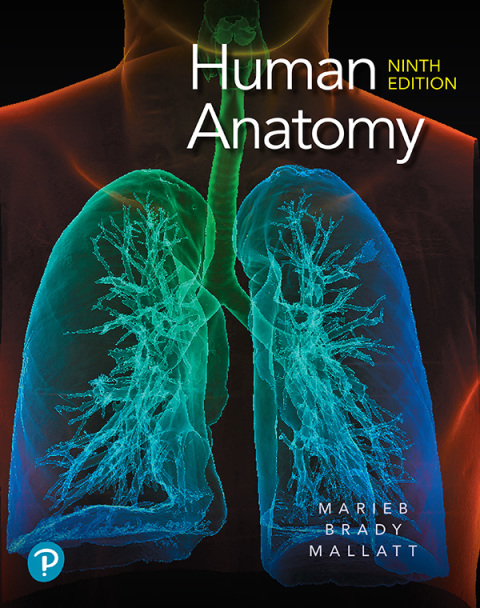 Book Human Anatomy free