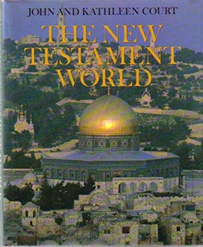 Book The New Testament World free