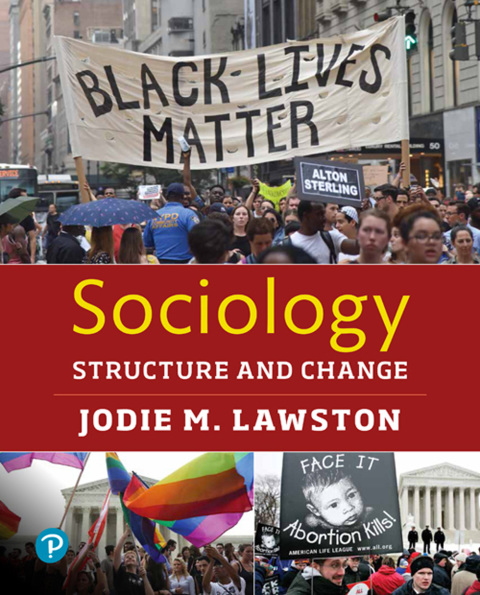 Book Sociology: Structure and Change free