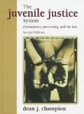 Book Juvenile Justice System, The: Delinquency, Processing, and the Law free