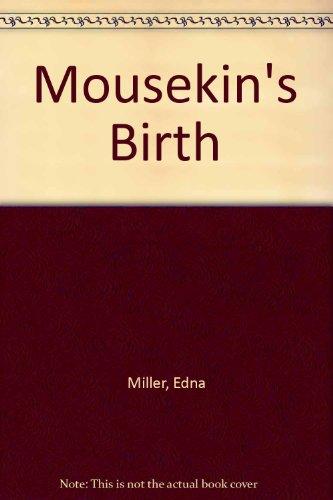 Book Mousekin's Birth free