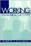Book Working: Sociological Perspectives (2nd Edition) free