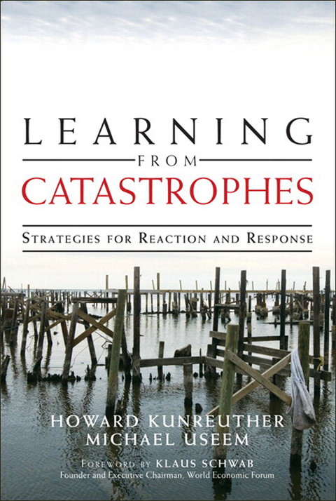 Book Learning from Catastrophes: Strategies for Reaction and Response free
