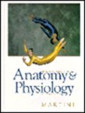 Book Formal Semantics: The Essential Readings free