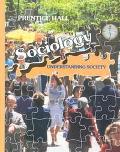 Book Sociology: Understanding Society free