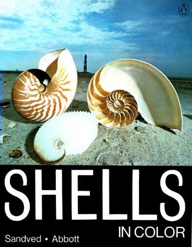 Book Shells in Color (A Penguin book) free