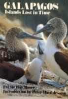Book Galapagos: Island free