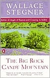 Book The Big Rock Candy Mountain (Contemporary American Fiction) free