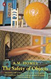 Book The Safety of Objects free