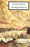 Book The Magic Mountain (Twentieth Century Classics) free