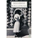 Book The Princess And Other Stories: The Wilful Woman; the Princess; the Overtone; the Flying Fish; Sun; Mercury; the Man Who Was Through with the World; a ... And Daughter (Twentieth Century Classics) free
