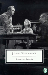 Book Burning Bright: A Play in Story Form (Classic, 20th-Century, Penguin) free