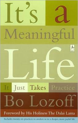 Book It's a Meaningful Life: It Just Takes Practice free