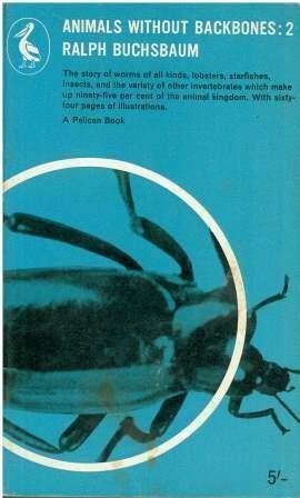 Book ANIMALS WITHOUT BACKBONES free